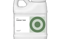 Встречайте новинку от Novozymes - Lumista Gold Встречайте новинку от Novozymes - Lumista Gold